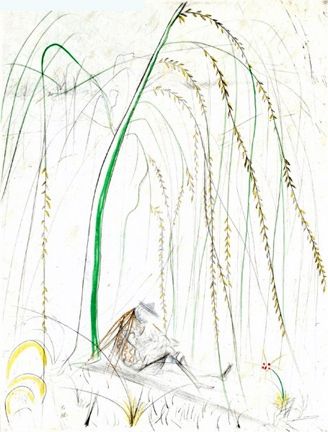 Gravure Dali - Le Saule Pleurer (Weeping Willow)