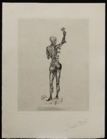 Gravure Dali - Les Chantes de Maldoror The Triumph of The Rose