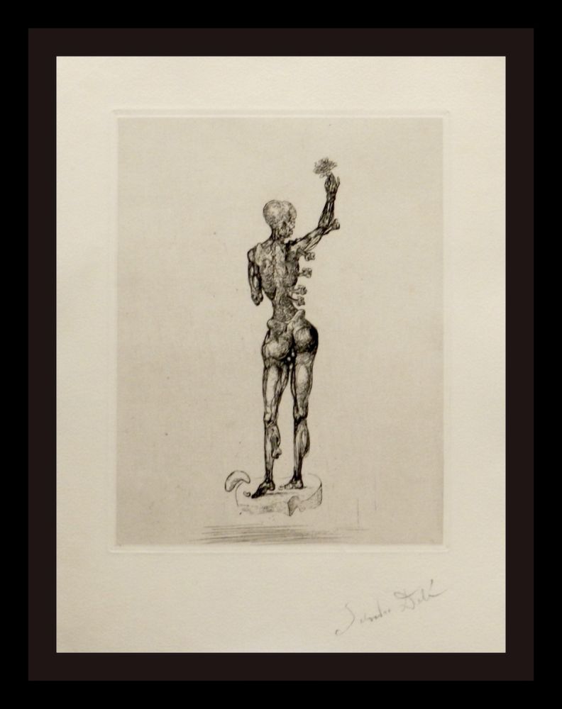 Gravure Dali - Les Chants de Maldoror (Figure)