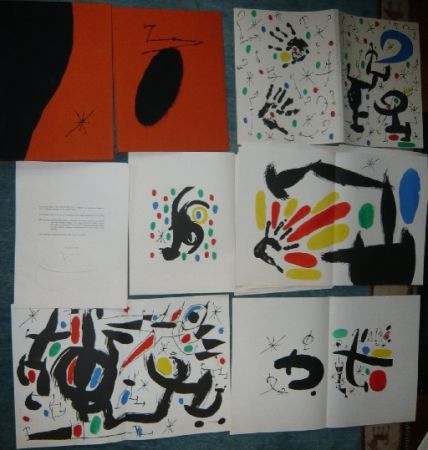 Livre Illustré Miró - Les essences de la terre