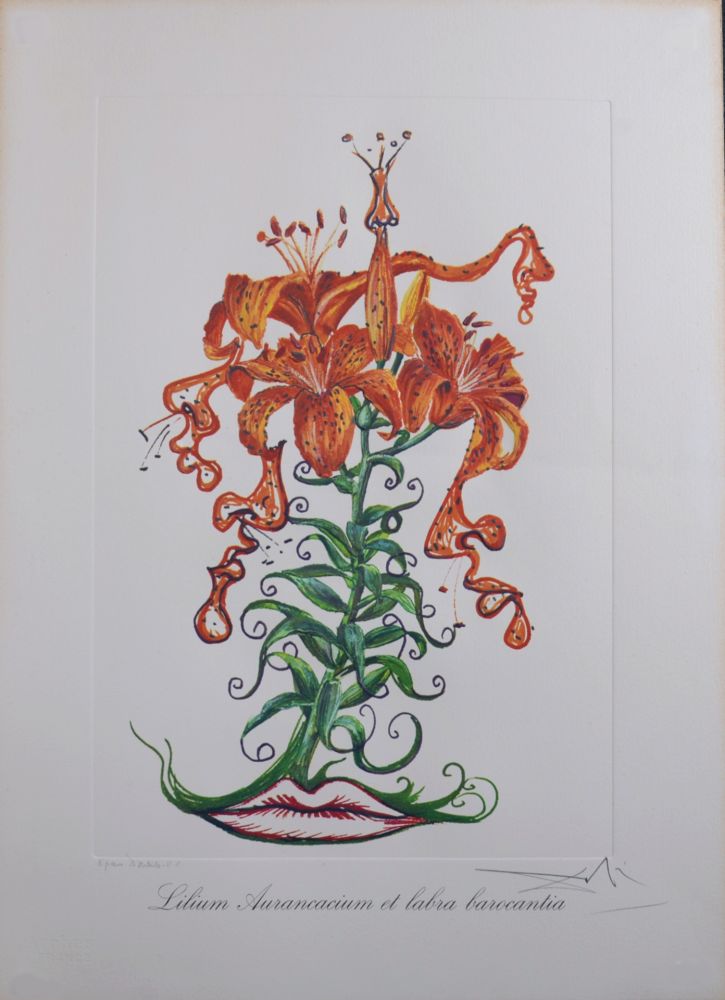 Multiple Dali - Lilium Aurancacium et labra barocantia, 1972 - Hand-signed!