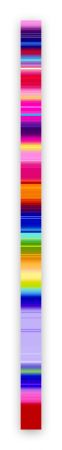 Photographie Snell - Lumina # 202102