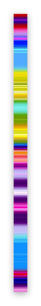 Photographie Snell - Lumina # 202103