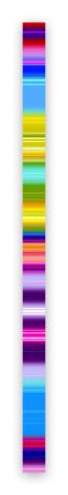 Photographie Snell - Lumina # 202103