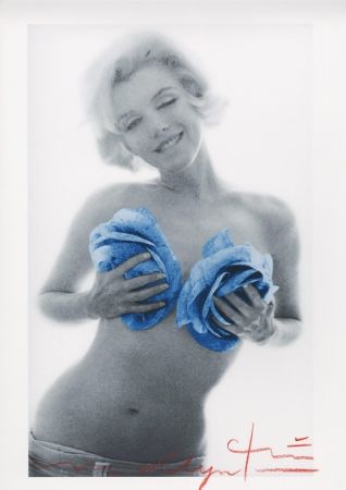 Multiple Stern - Marilyn Monroe blue wink roses