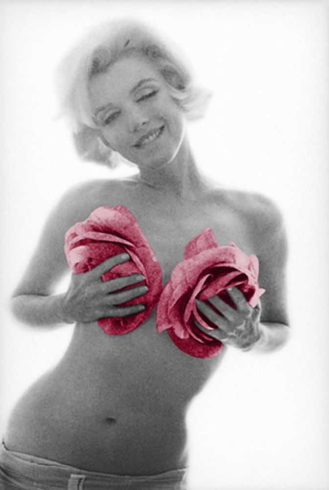 Photographie Stern - Marilyn Pink Roses Large