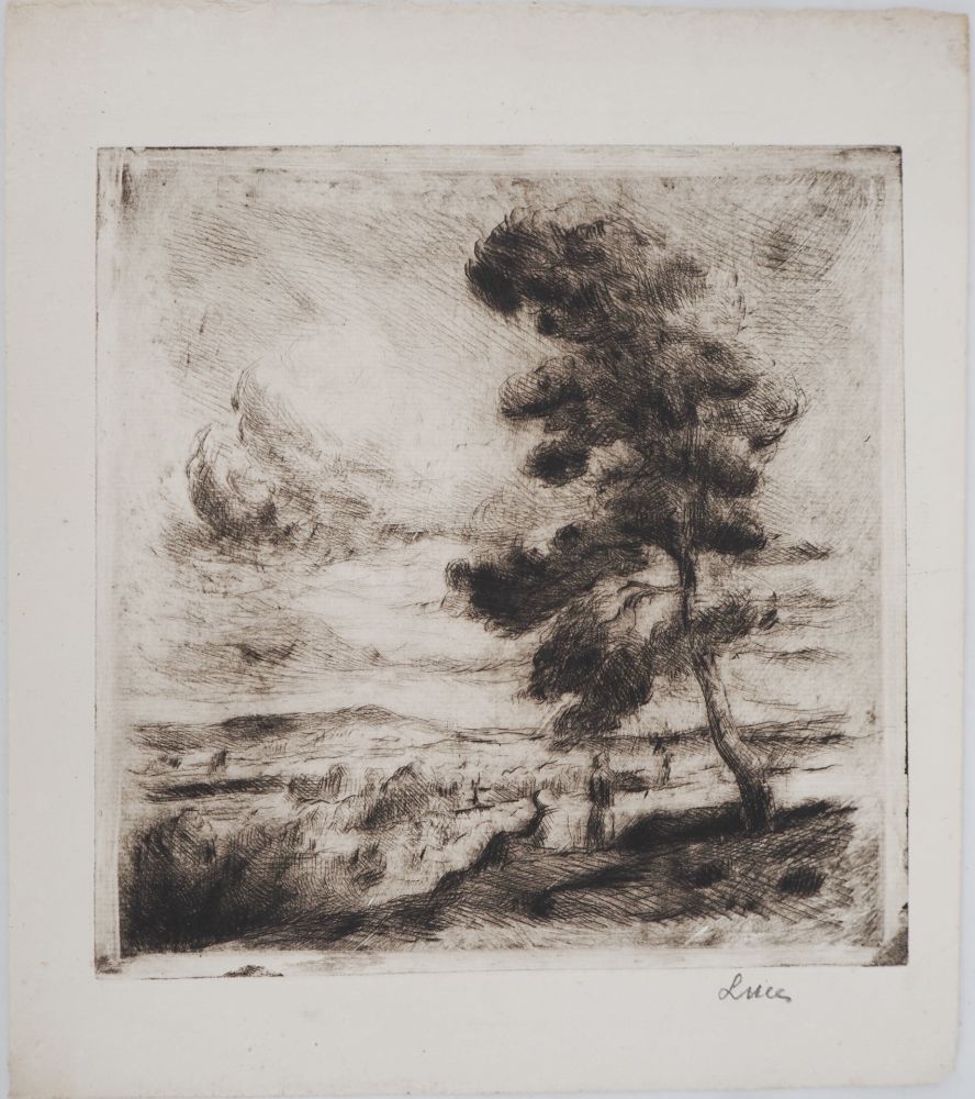 Pointe-Sèche Luce - Maximilien LUCE - Paysage de Yonne Vers 1900  - Gravure originale signée