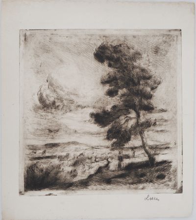 Pointe-Sèche Luce - Maximilien LUCE - Paysage de Yonne Vers 1900  - Gravure originale signée