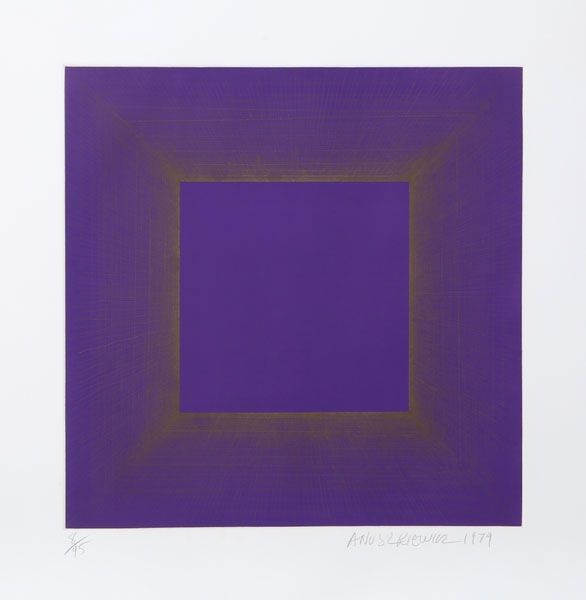 Aquatinte Anuszkiewicz - Midnight Suite (Purple with Silver)