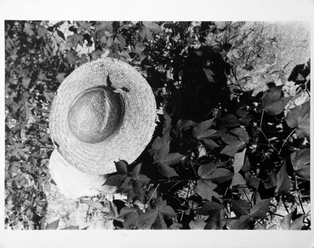 Photographie Evans - Mississippi