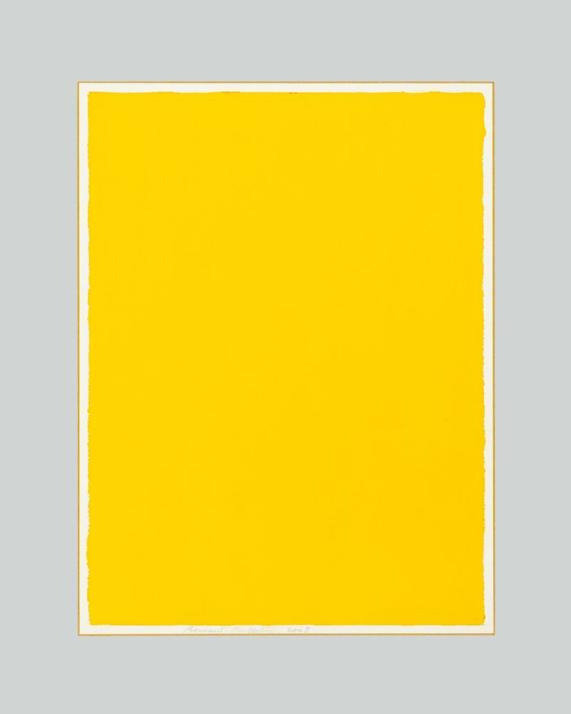 Aucune Technique Aubertin - Monocromo giallo
