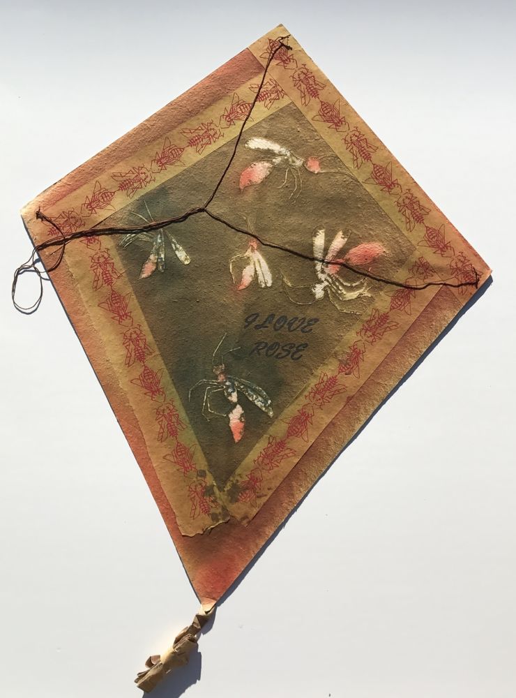 Aucune Technique Toledo - Mosquitos Kite