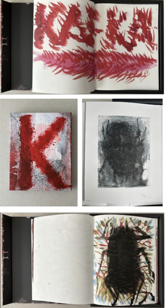 Livre Illustré Barcelo - Métamorphose 