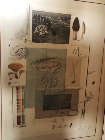 Multiple Twombly - Natural History Part I: Mushrooms