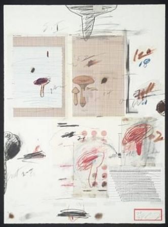 Lithographie Twombly - Natural History Part I: Mushrooms IV