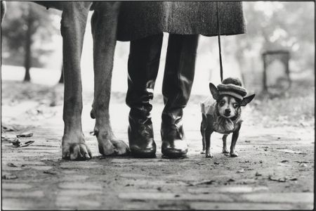 Photographie Erwitt - New York City