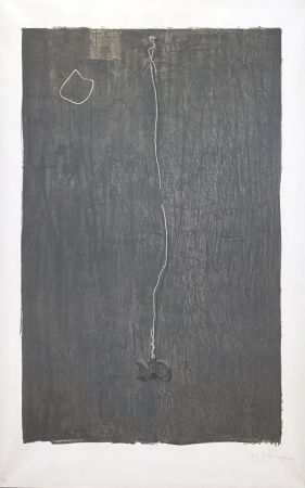 Lithographie Johns - No