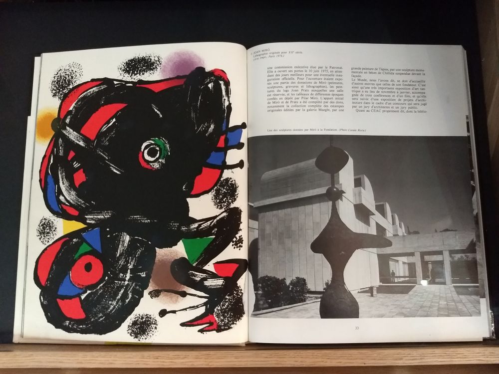 Livre Illustré Miró - No 46