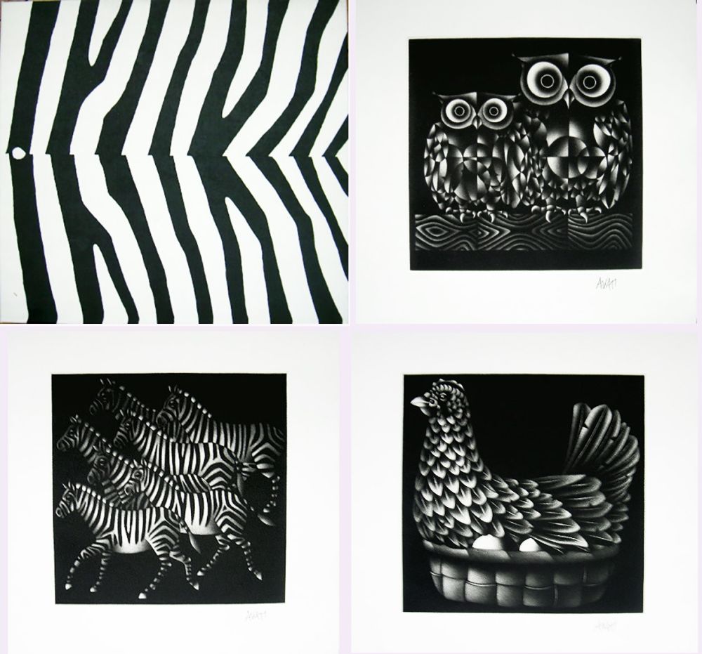 Livre Illustré Avati - NOAH'S ARK. Ten Mezzotints. 10 Manières Noires signées (1971)