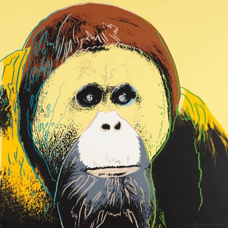 Sérigraphie Warhol - Orangutan (FS II.299)
