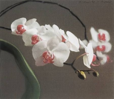 Offset Richter - Orchid IV