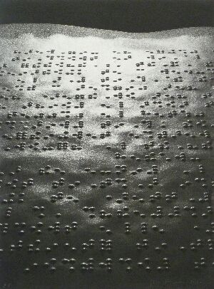 Photographie Fontcuberta - Paisatge braille