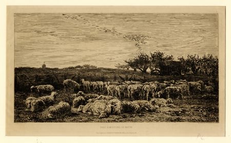 Gravure Daubigny - Parc à moutons:  le matin, in 