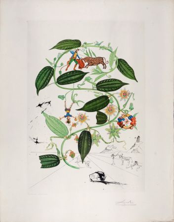 Gravure Dali - Passiflora Lariguera, 1969 - Hand-signed!