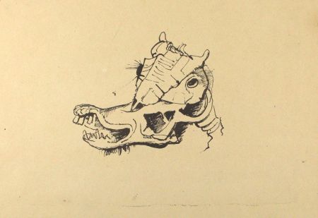 Lithographie Hofer - Pferdeschädel / Horse Skull