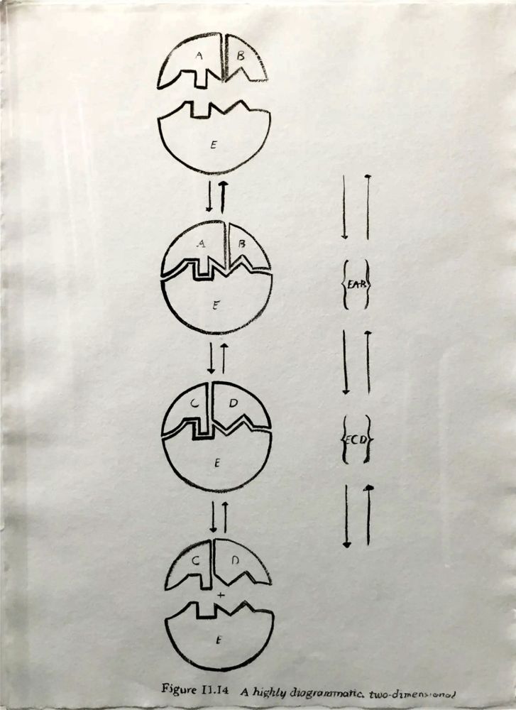 Multiple Warhol - Physiological Diagram