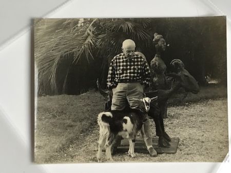 Photographie Quinn - Picasso et sa chèvre devant la fameuse sculpture 