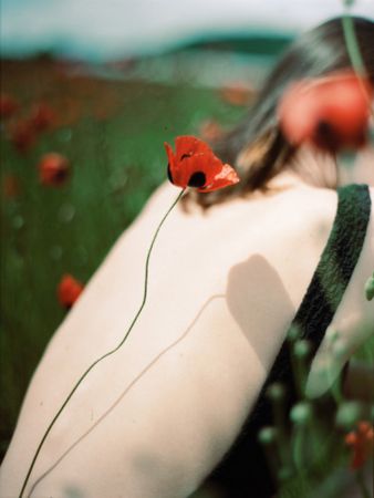 Photographie Sitchinava - Picnic in a Poppy Field 2