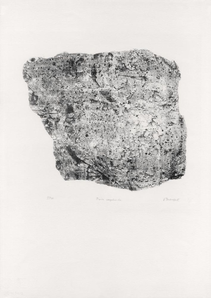 Lithographie Dubuffet - Pierre Vagabonde