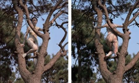 Photographie Yan - Pinaster Landscape Diptych