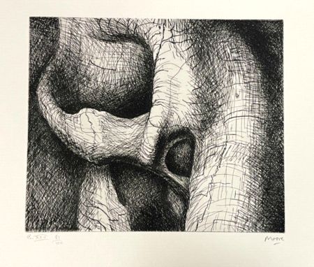 Gravure Moore - Plate XXVI from Elephant Skull