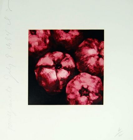 Sérigraphie Sultan - Pomegranates