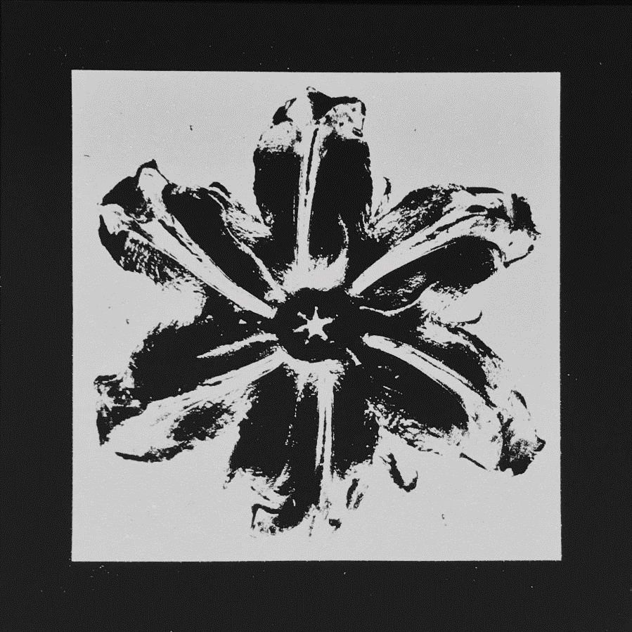 Sérigraphie Robierb - Power Flower (Black)