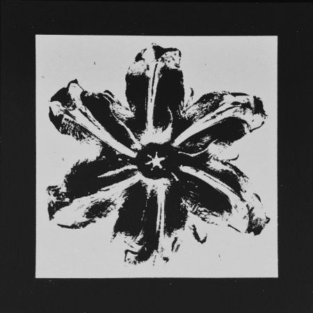 Sérigraphie Robierb - Power Flower (Black)