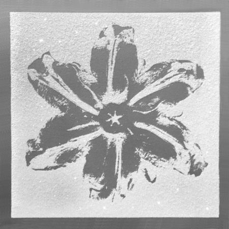 Sérigraphie Robierb - Power Flower (Silver)