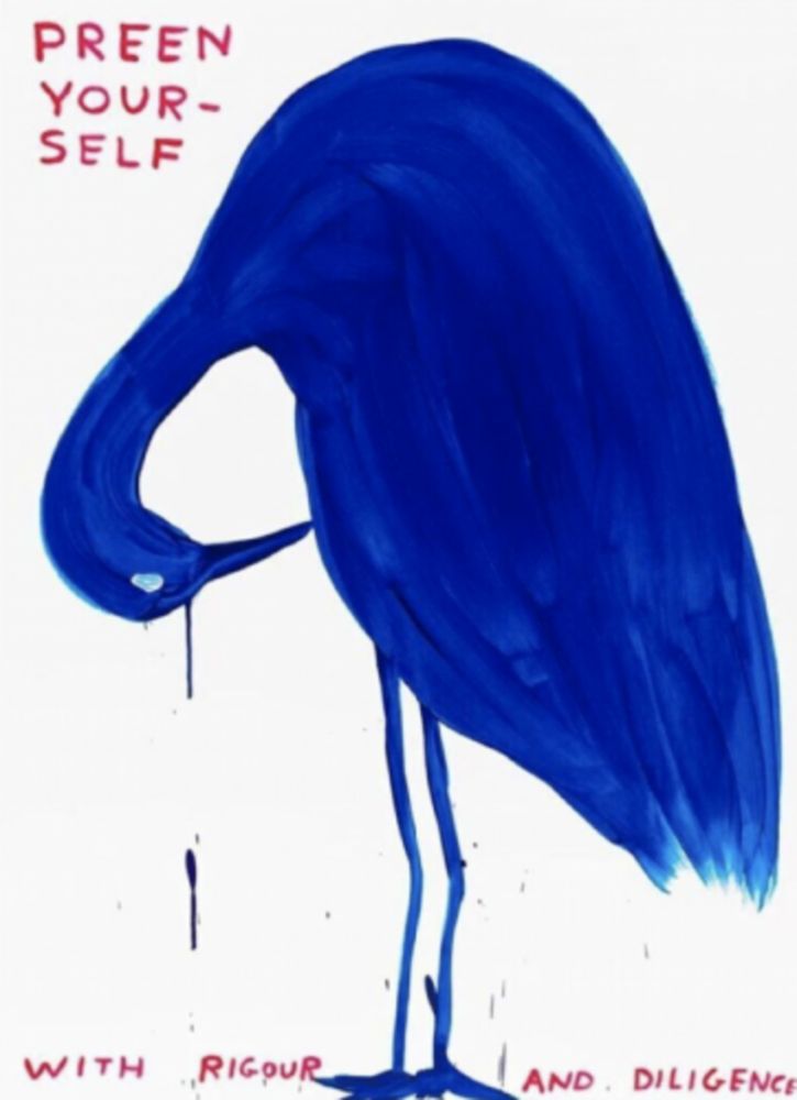 Sérigraphie Shrigley - Preen Yourself
