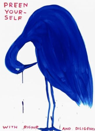 Sérigraphie Shrigley - Preen Yourself