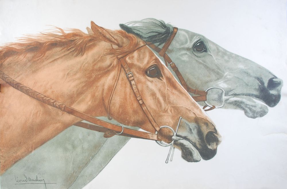 Lithographie Danchin - Pur sang en course - Thoroughbred racing (Original)