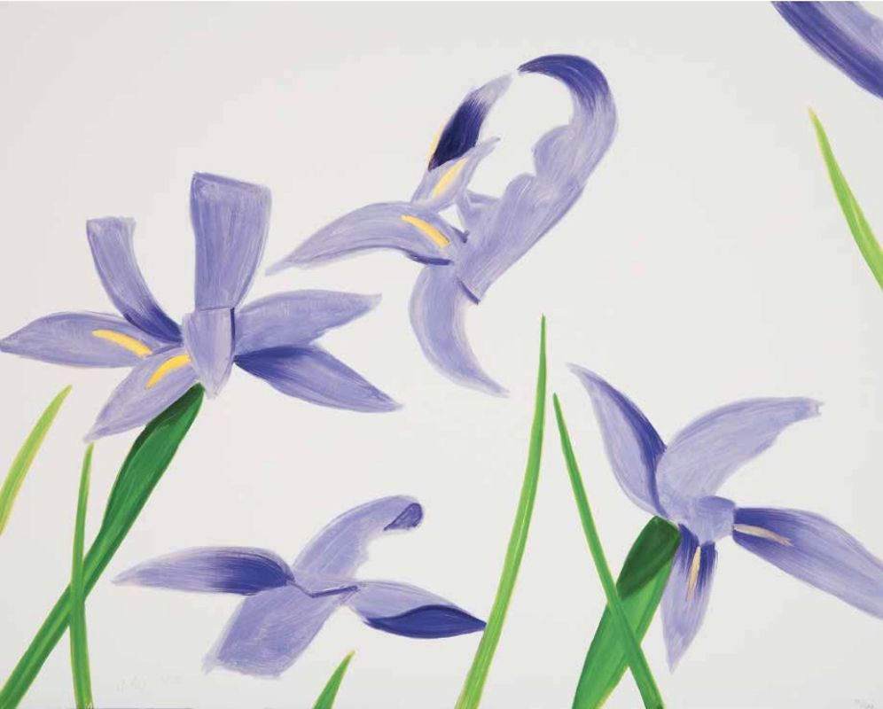 Aucune Technique Katz - Purple Irises on White