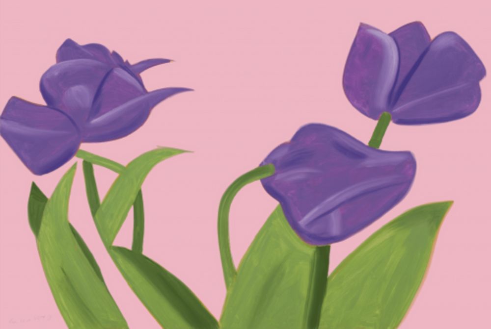Multiple Katz - Purple Tulips I