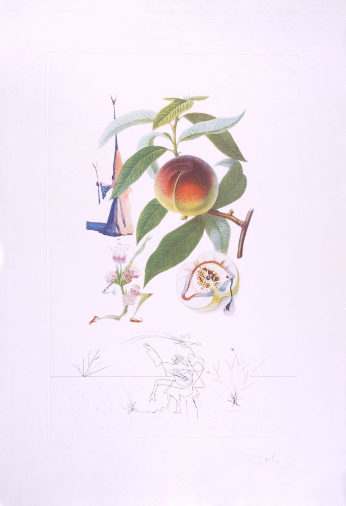 Pointe-Sèche Dali - Pécheur pénitent - Peach (Suite Flordali Les Fruits)