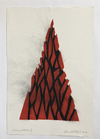 Aucune Technique Nash - Red and black triangle, 2009