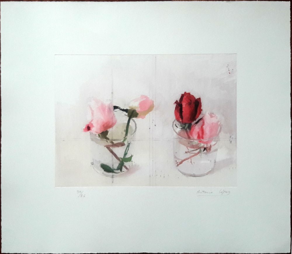 Eau-Forte Lopez - Rosas de invierno II
