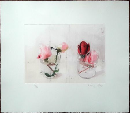 Eau-Forte Lopez - Rosas de invierno II
