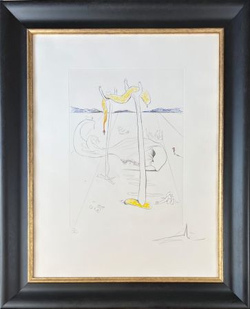 Pointe-Sèche Dali - Salvador Dalí (1904-1989) - Color drypoint etching on Arches paper - 1973