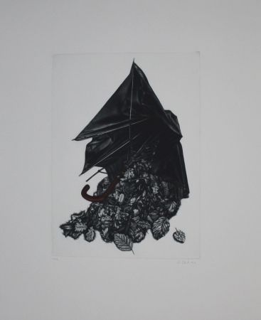 Manière Noire Ebert - Schirm und Blättern